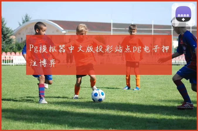 Pg模拟器中文版投彩站点pg电子押注博弈