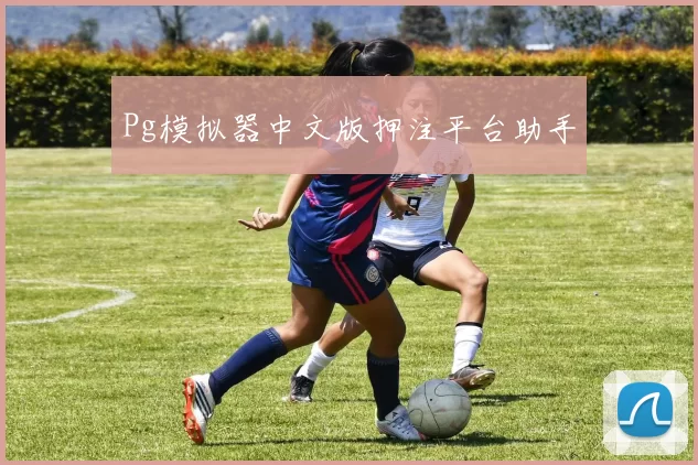 Pg模拟器中文版押注平台助手