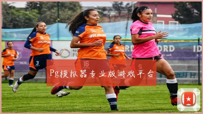 Pg模拟器专业版游戏平台