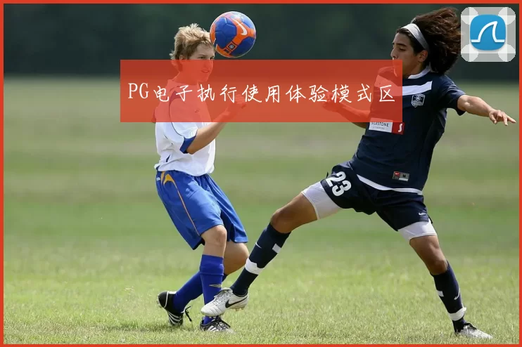 PG电子执行使用体验模式区