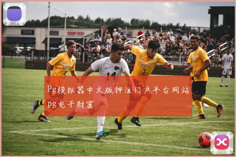 Pg模拟器中文版押注门户平台网站pg电子财富