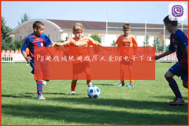 Pg游戏试玩游戏厅大全pg电子下注